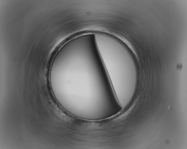 X0000091570783200708200950