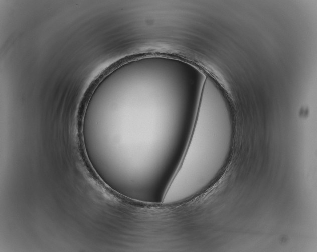 X0000091570784200708200950