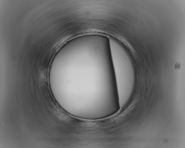X0000091570785200708200950