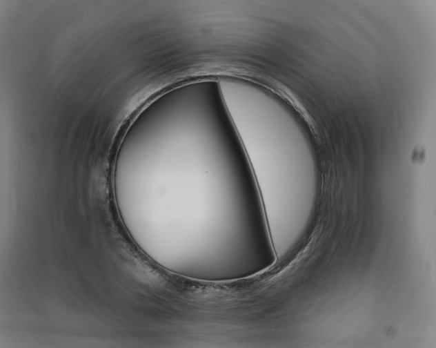 X0000091570786200708200950