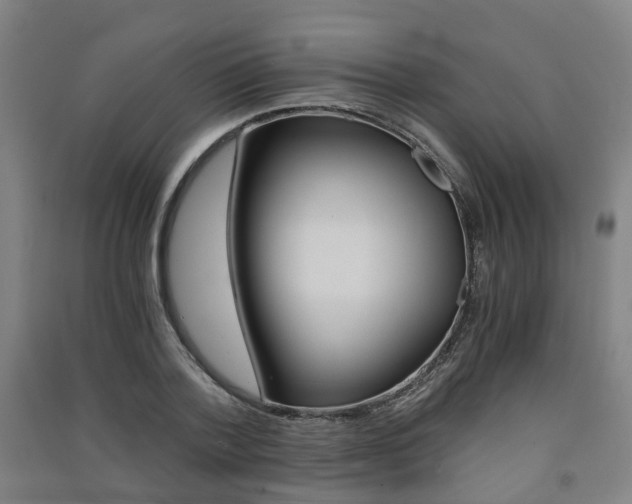 X0000091570788200708200950