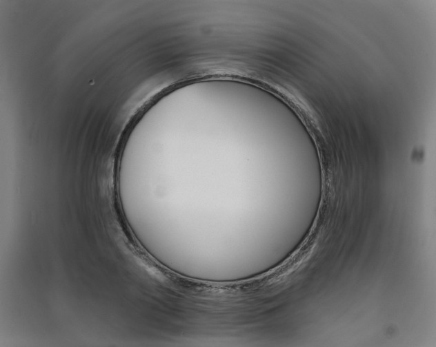 X0000091570790200708200950