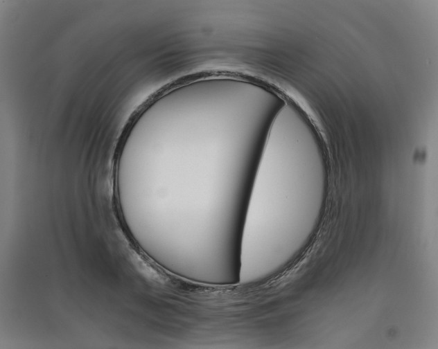 X0000091570791200708200950