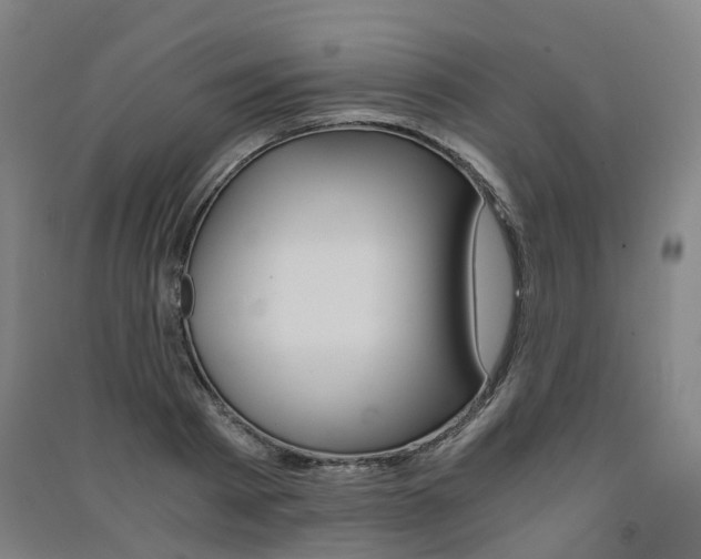 X0000091570793200708200950