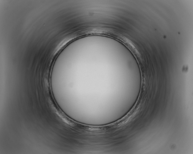 X0000091570794200708200950