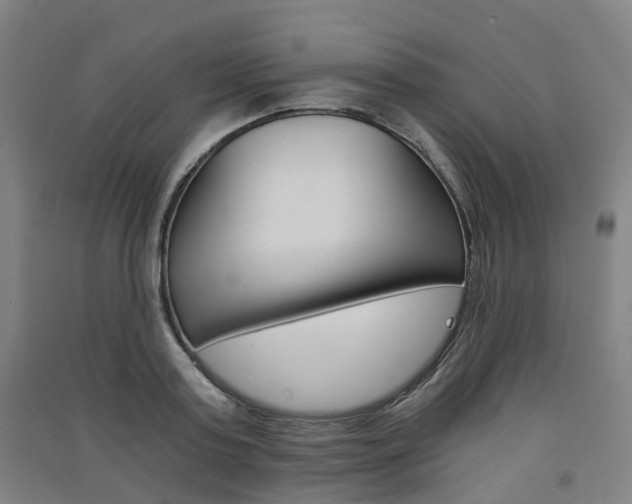 X0000091570795200708200950