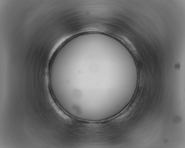 X0000091570796200708200950