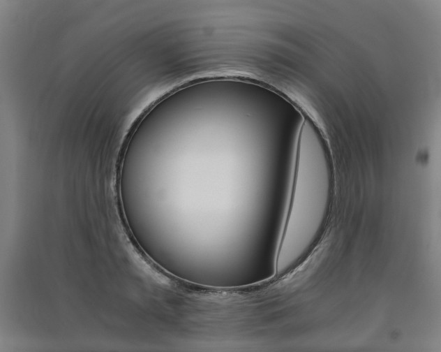X0000091570797200708200950