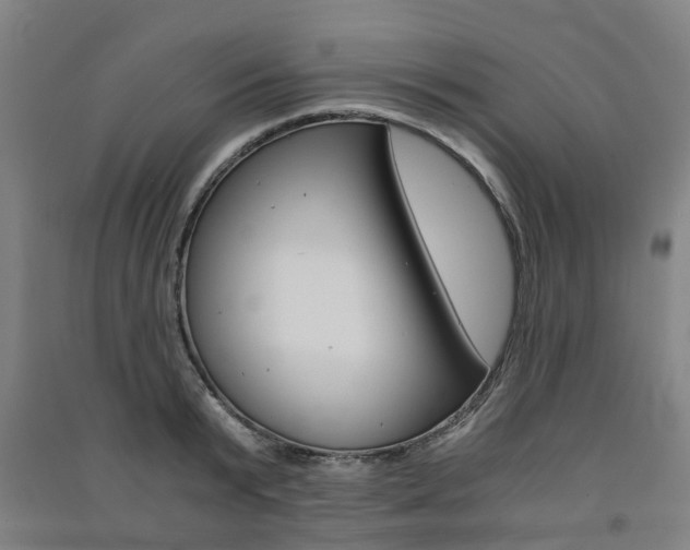 X0000091570799200708200950