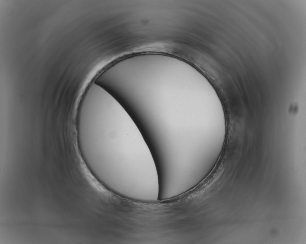 X0000091570800200708200950