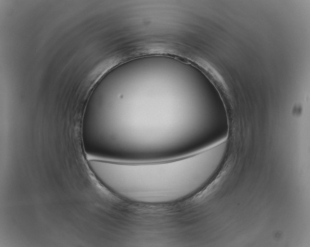 X0000091570801200708200950