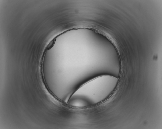 X0000091570803200708200950