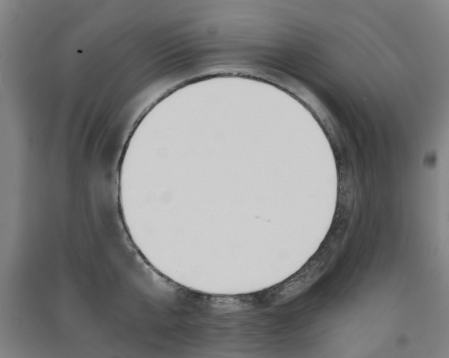 X0000091570807200708200950