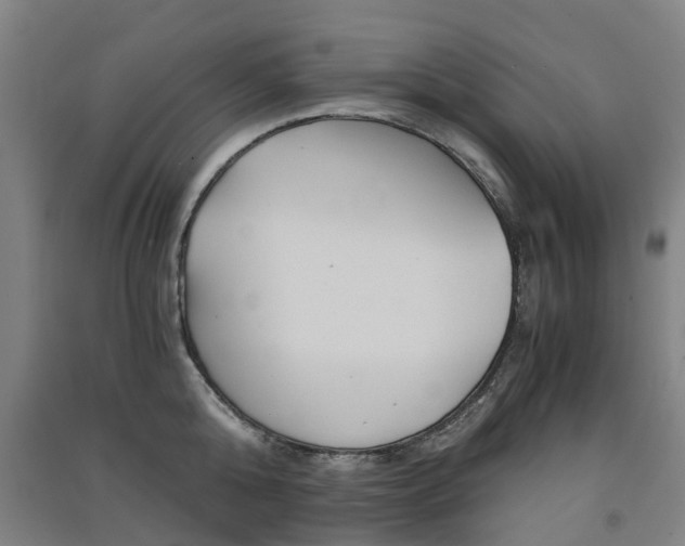 X0000091570808200708200950