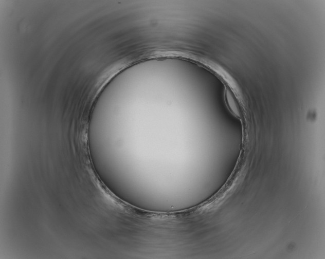 X0000091570809200708200950