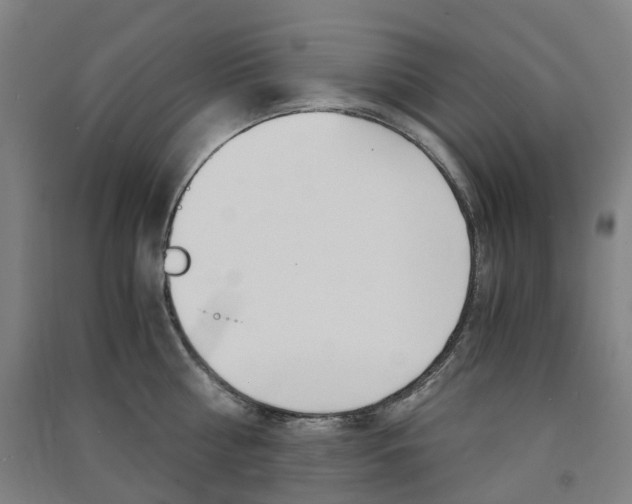 X0000091570810200708200950