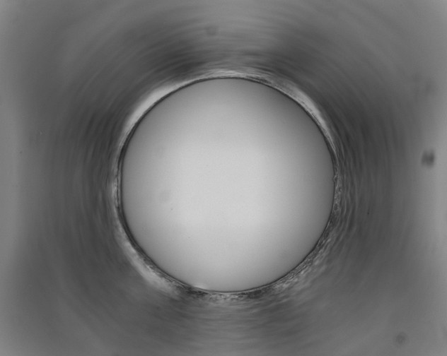 X0000091570811200708200950