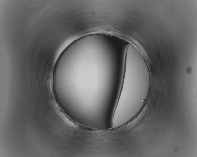 X0000091570812200708200950
