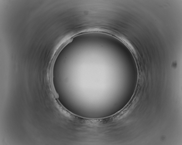 X0000091570813200708200950
