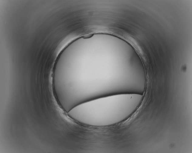 X0000091570814200708200950