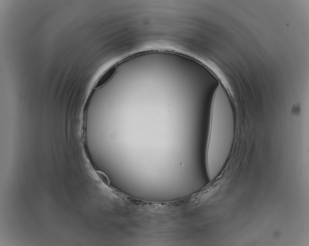 X0000091570815200708200949