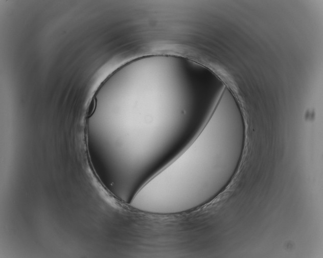 X0000091570816200708200949