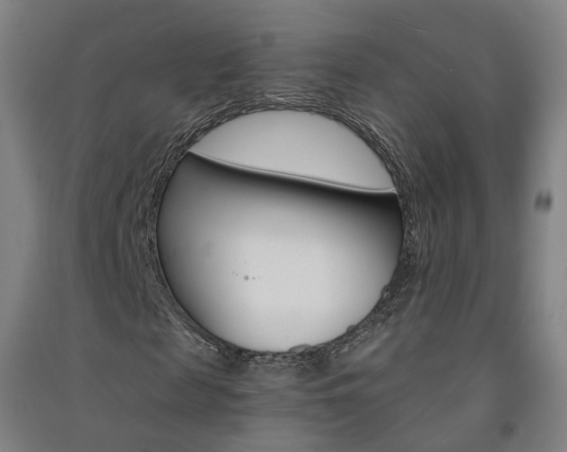 X0000091570817200708200949