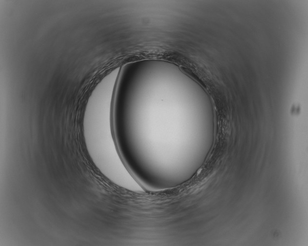 X0000091570818200708200949