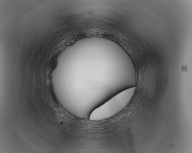 X0000091570819200708200949
