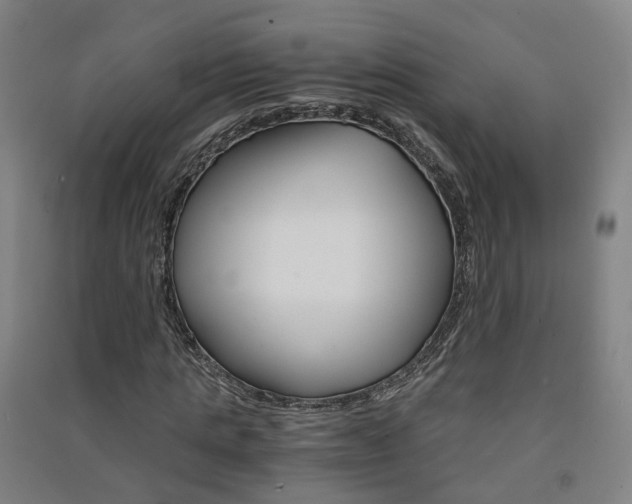 X0000091570821200708200949