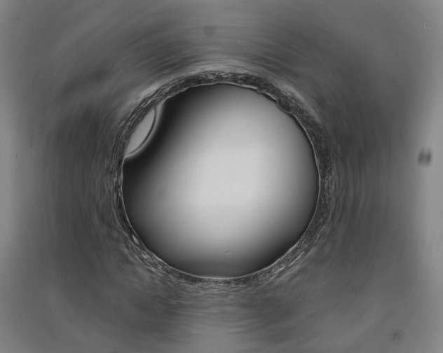 X0000091570822200708200949