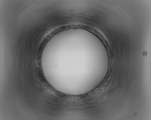 X0000091570823200708200949