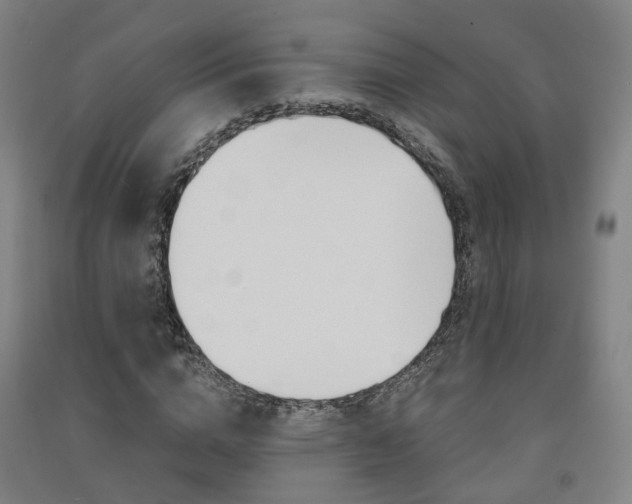 X0000091570824200708200949