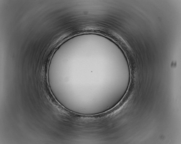 X0000091570825200708200949