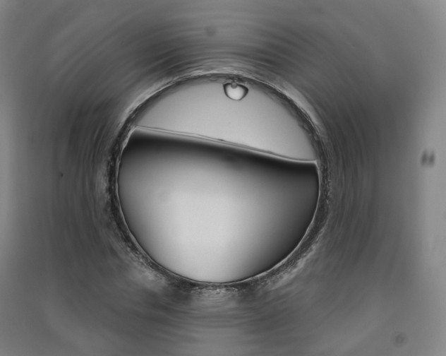 X0000091570826200708200949