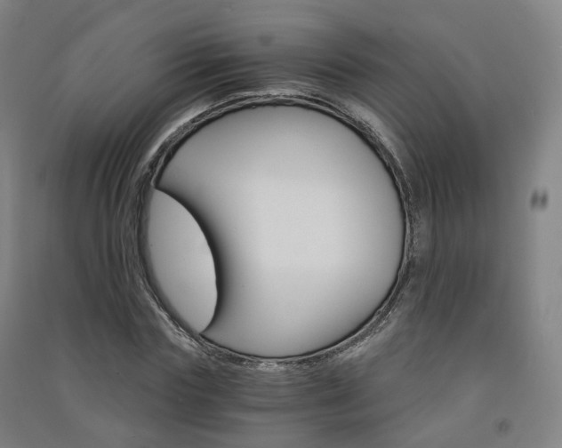 X0000091570827200708200949
