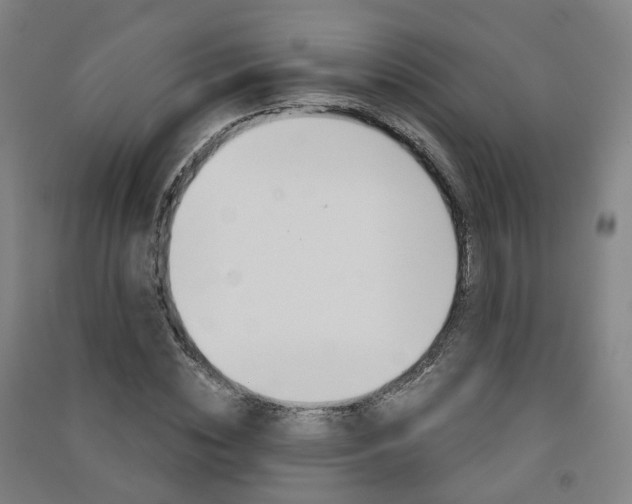 X0000091570828200708200949