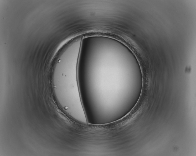 X0000091570830200708200949