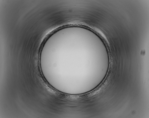 X0000091570831200708200949