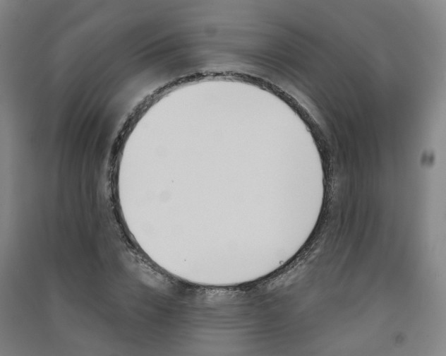 X0000091570832200708200949
