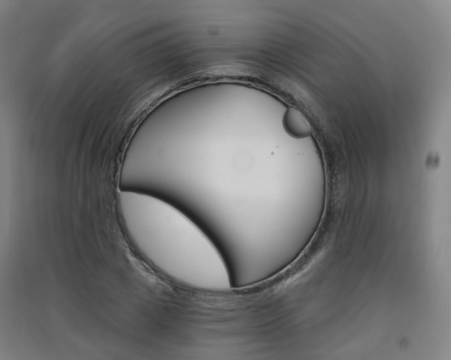 X0000091570833200708200949