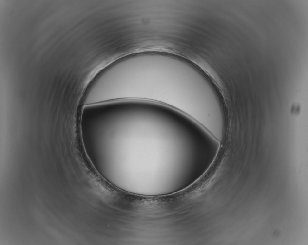 X0000091570834200708200949