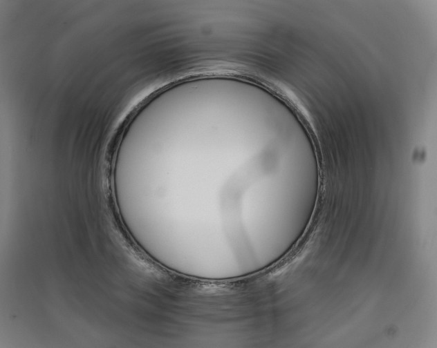 X0000091570835200708200949