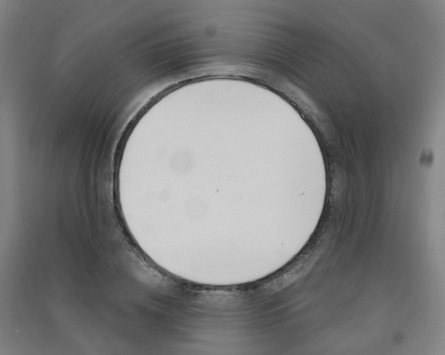 X0000091570836200708200949