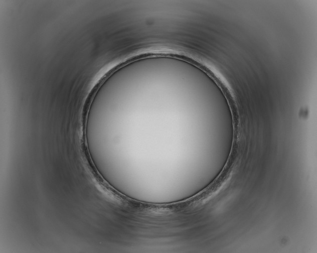 X0000091570837200708200949