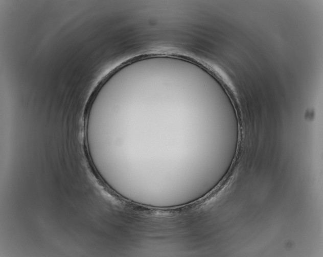 X0000091570839200708200949