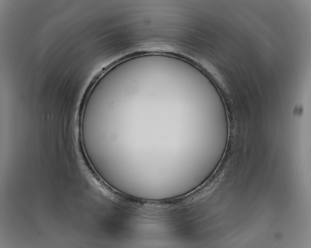 X0000091570840200708200949