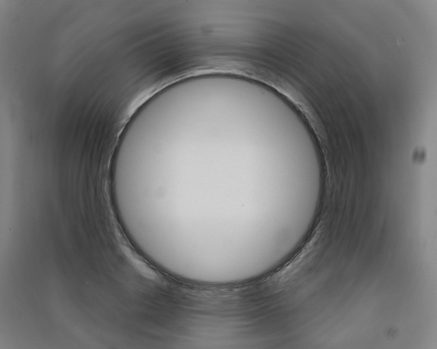 X0000091570842200708200949