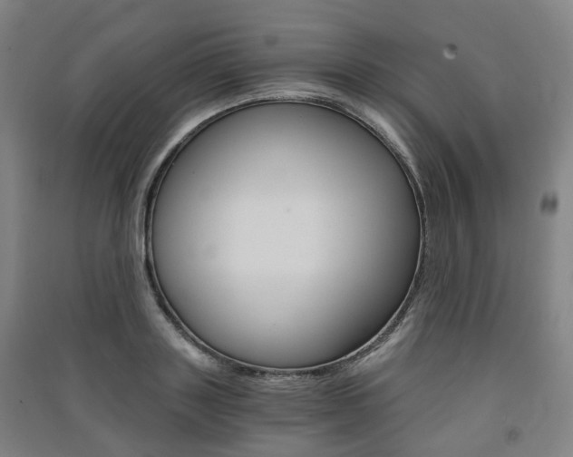 X0000091570843200708200949