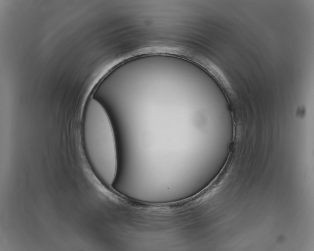 X0000091570844200708200949